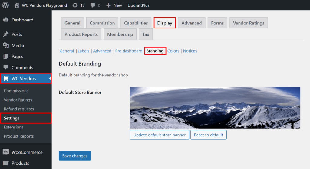 Navigating to the Branding subtab