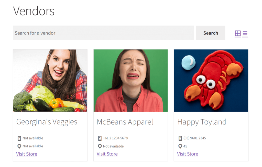 A landing page on an online marketplace showing three vendors, namely Georgina's Veggies, McBeans Apparel, and Happy Toyland, each with a thumbnail, vendor information, and a "Visit Store" link
