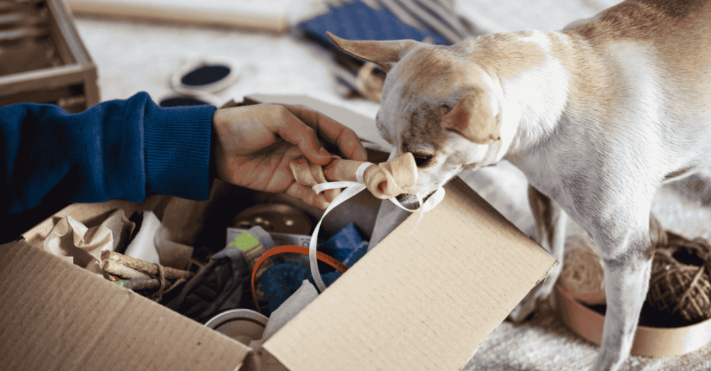 A pet owner opens a subscription box filled with pet treats, toys, and wellness items.